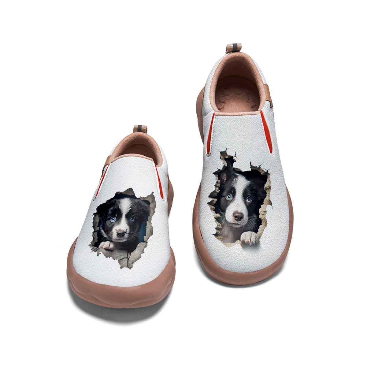 Border Collie Slip On