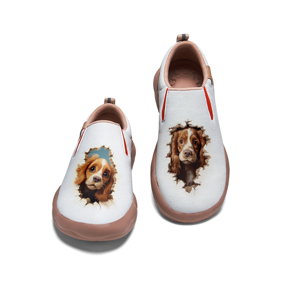 English Springer Spaniel Slip On