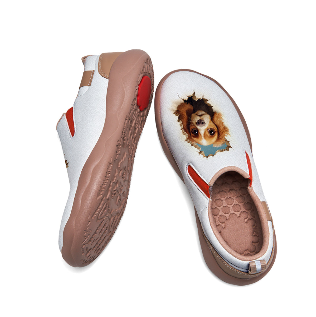 English Springer Spaniel Slip On